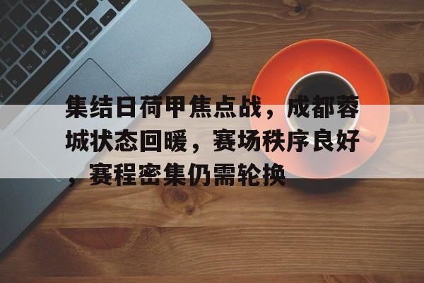 集结日荷甲焦点战，成都蓉城状态回暖，赛场秩序良好，赛程密集仍需轮换的简单介绍-满冠体育网页登陆